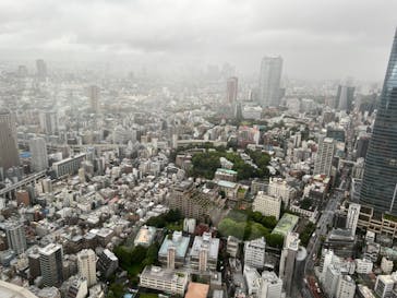 東京タワーに投稿された画像（2024/8/30）