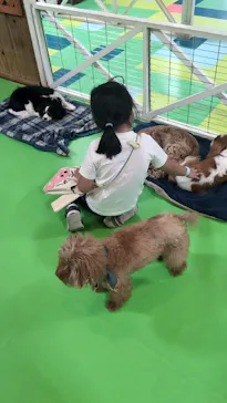 ひらかたパークに投稿された画像（2024/8/30）