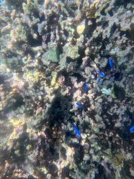 宮古島リゾートスポーツに投稿された画像（2024/8/30）