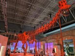 巨大恐竜展2024に投稿された画像（2024/8/30）