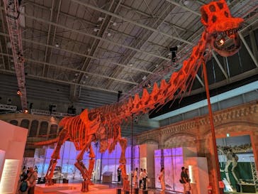 巨大恐竜展2024に投稿された画像（2024/8/30）