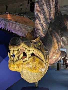 巨大恐竜展2024に投稿された画像（2024/8/30）