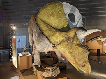 巨大恐竜展2024に投稿された画像（2024/8/30）