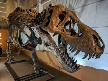 巨大恐竜展2024に投稿された画像（2024/8/30）