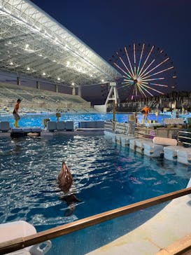 名古屋港水族館に投稿された画像（2024/8/30）