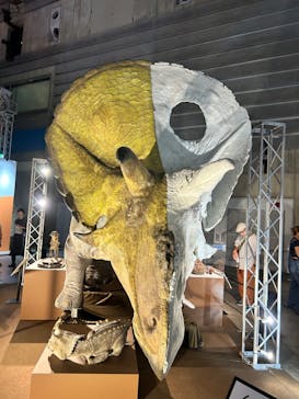 巨大恐竜展2024に投稿された画像（2024/8/30）