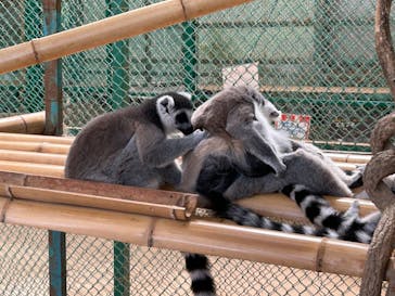 東北サファリパークに投稿された画像（2024/8/30）