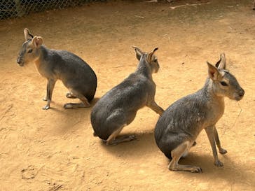 東北サファリパークに投稿された画像（2024/8/30）
