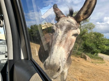 東北サファリパークに投稿された画像（2024/8/30）