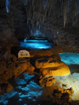 おきなわワールドに投稿された画像（2024/8/30）