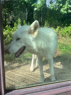 名古屋市東山動植物園に投稿された画像（2024/8/30）