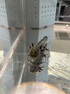 AOAO SAPPOROに投稿された画像（2024/8/30）