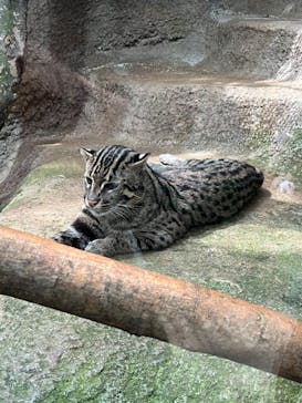 神戸どうぶつ王国に投稿された画像（2024/8/30）