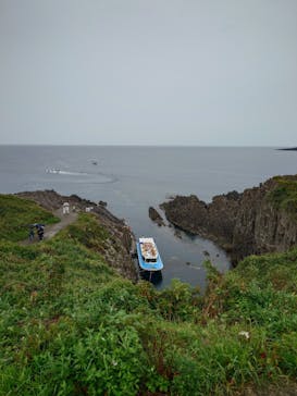 東尋坊観光遊覧船株式会社に投稿された画像（2024/8/30）