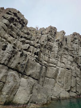 東尋坊観光遊覧船株式会社に投稿された画像（2024/8/30）