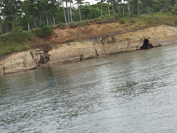 東尋坊観光遊覧船株式会社に投稿された画像（2024/8/30）