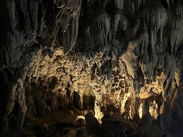 CAVE OKINAWAに投稿された画像（2024/8/30）