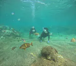 武藤潜水に投稿された画像（2024/8/31）