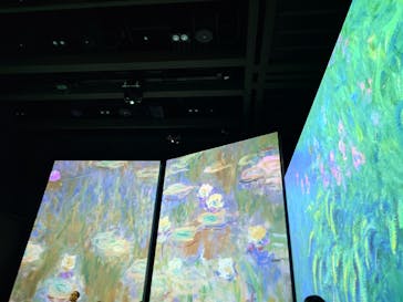 モネ＆フレンズ・アライブに投稿された画像（2024/8/31）