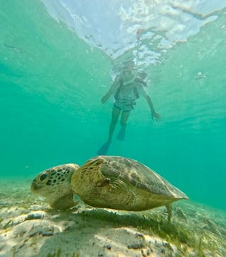 nico 宮古島に投稿された画像（2024/8/30）