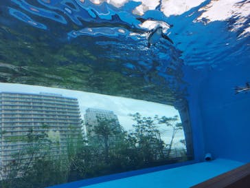 サンシャイン水族館に投稿された画像（2024/8/31）