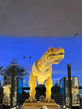 福井県立恐竜博物館に投稿された画像（2024/8/31）