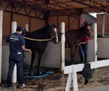 ノーザンホースパークに投稿された画像（2024/8/31）