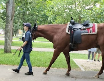 ノーザンホースパークに投稿された画像（2024/8/31）