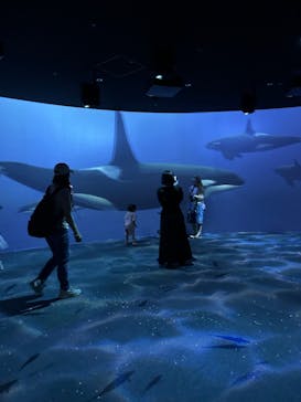 AOAO SAPPOROに投稿された画像（2024/8/31）