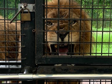 那須サファリパークに投稿された画像（2024/8/31）