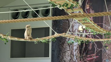 那須どうぶつ王国に投稿された画像（2024/8/31）