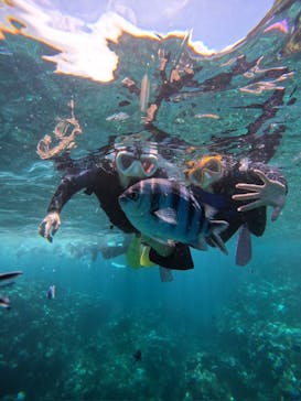 沖縄マリンサービス碧に投稿された画像（2024/8/31）