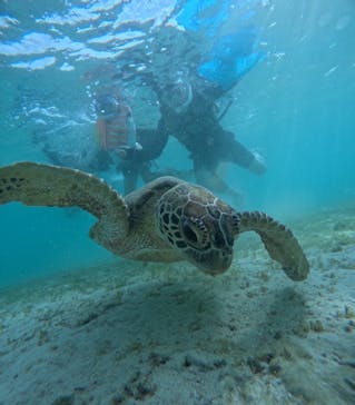 宮古島マリン SUGAR3（シュガースリー）に投稿された画像（2024/8/27）