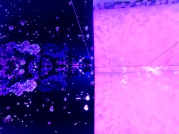 アクアワールド茨城県大洗水族館に投稿された画像（2024/8/31）