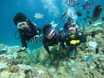 武藤潜水に投稿された画像（2024/8/31）