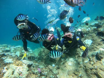 武藤潜水に投稿された画像（2024/8/31）