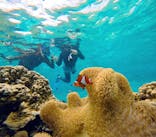 宮古島 ADVENTURE PiPi（ミヤコジマ アドベンチャー ピピ）に投稿された画像（2024/8/27）