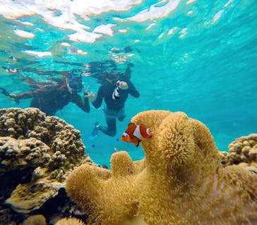 宮古島 ADVENTURE PiPi（ミヤコジマ アドベンチャー ピピ）に投稿された画像（2024/8/26）