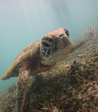 宮古島 ADVENTURE PiPi（ミヤコジマ アドベンチャー ピピ）に投稿された画像（2024/8/26）