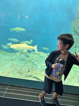 サケのふるさと 千歳水族館に投稿された画像（2024/8/31）