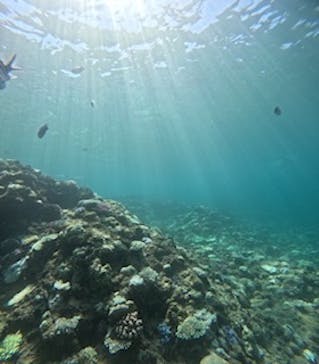 沖縄マリンサービス碧に投稿された画像（2024/8/31）