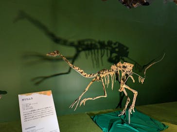 巨大恐竜展2024に投稿された画像（2024/8/31）