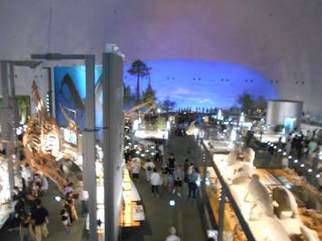 福井県立恐竜博物館に投稿された画像（2024/8/31）