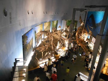 福井県立恐竜博物館に投稿された画像（2024/8/31）