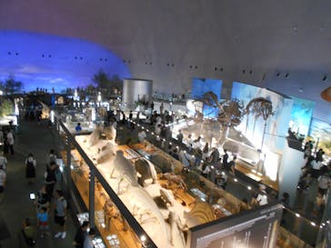 福井県立恐竜博物館に投稿された画像（2024/8/31）