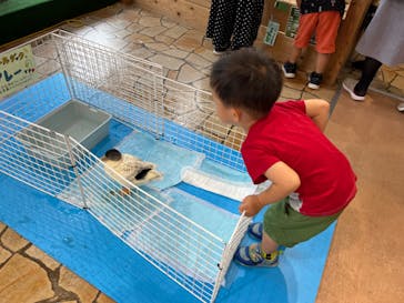 いきもの探検隊上尾に投稿された画像（2024/8/31）