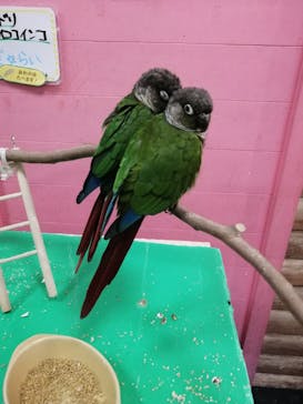 いきもの探検隊上尾に投稿された画像（2024/8/31）