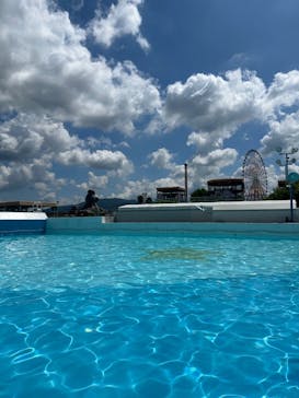 グリーンランドに投稿された画像（2024/8/31）