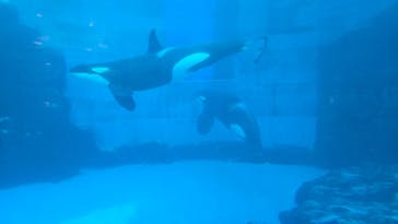 名古屋港水族館に投稿された画像（2024/8/31）