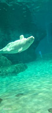 名古屋港水族館に投稿された画像（2024/8/31）